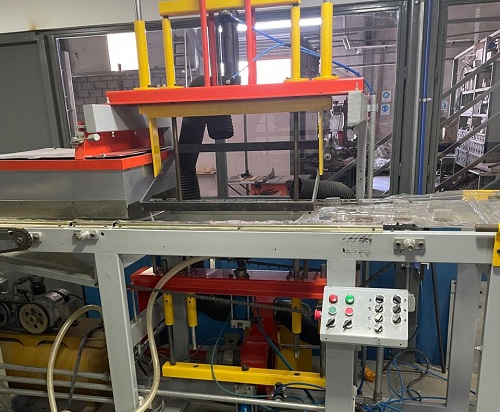 Instalación de techo verde